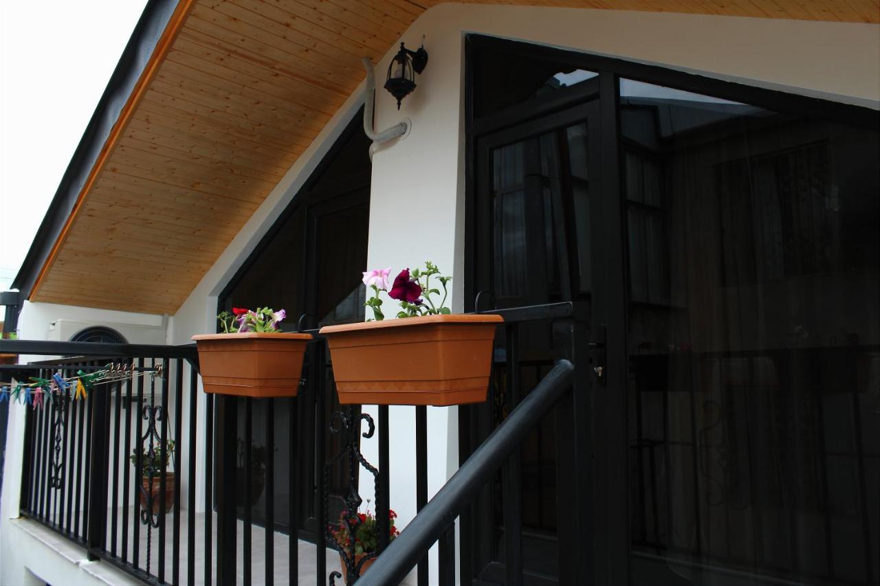 Nitsa Guest House Gori Bagian luar foto